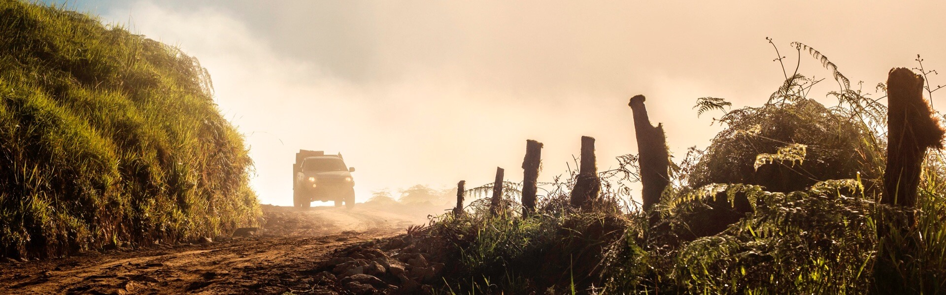 Banner Sub